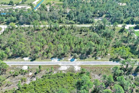 Terreno en venta en Lehigh Acres, Florida № 2164396 - foto 12