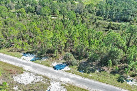 Terreno en venta en Lehigh Acres, Florida № 2164396 - foto 9