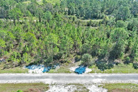 Terreno en venta en Lehigh Acres, Florida № 2164396 - foto 27