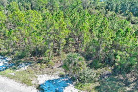 Terreno en venta en Lehigh Acres, Florida № 2164396 - foto 26