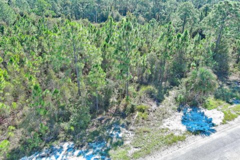 Terreno en venta en Lehigh Acres, Florida № 2164396 - foto 4
