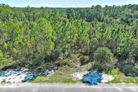 Terreno en venta en Lehigh Acres, Florida № 2164396 - foto 25