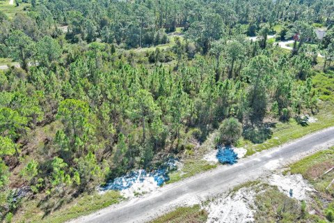 Terreno en venta en Lehigh Acres, Florida № 2164396 - foto 6