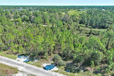 Terreno en venta en Lehigh Acres, Florida № 2164396 - foto 8