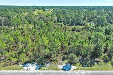 Terreno en venta en Lehigh Acres, Florida № 2164396 - foto 7