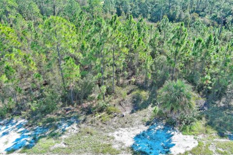 Terreno en venta en Lehigh Acres, Florida № 2164396 - foto 3