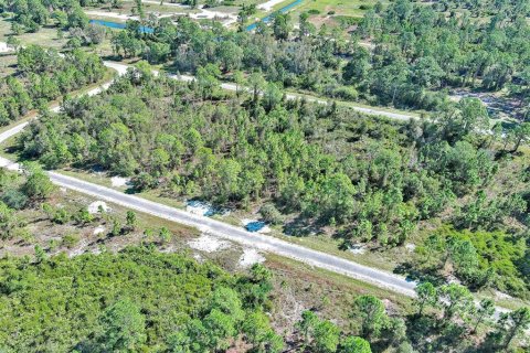 Terreno en venta en Lehigh Acres, Florida № 2164396 - foto 11