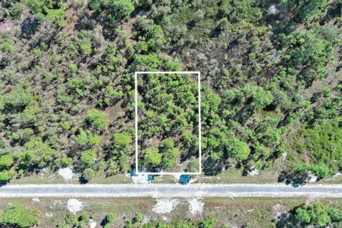 Terreno en venta en Lehigh Acres, Florida № 2164396 - foto 20