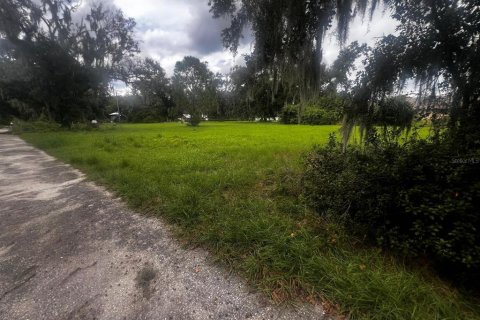 Terrain à vendre à Plant City, Floride № 2408244 - photo 4