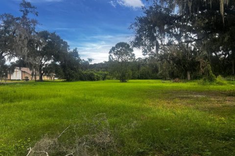 Terrain à Plant City, Floride № 2408244