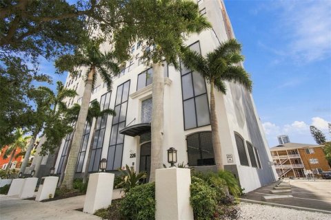 Condo à Saint Petersburg, Floride, 2 chambres  № 2396844