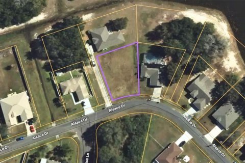 Terreno en venta en Kissimmee, Florida № 1910698 - foto 2