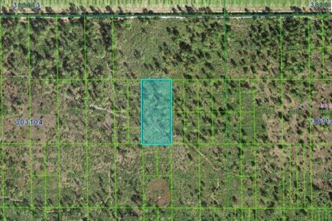 Terrain à Lake Wales, Floride № 2158939