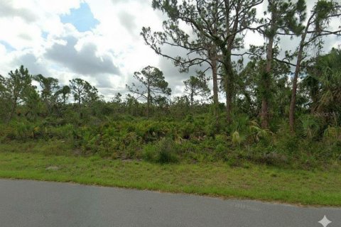 Land in Port Charlotte, Florida № 2162886 - photo 2