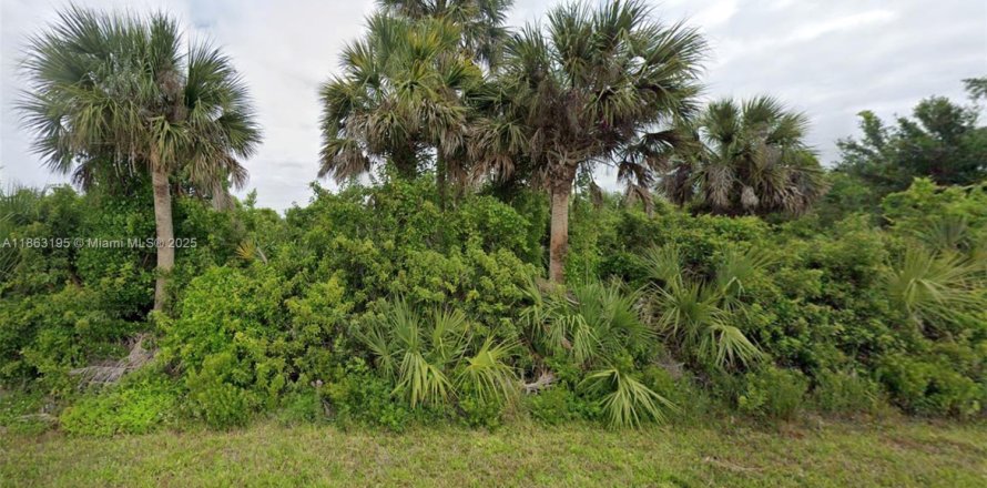 Immobilier commercial à Port Charlotte, Floride № 2089222