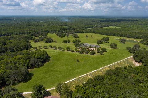 Villa ou maison à vendre à Micanopy, Floride: 4 chambres, 962.56 m2 № 2217626 - photo 22