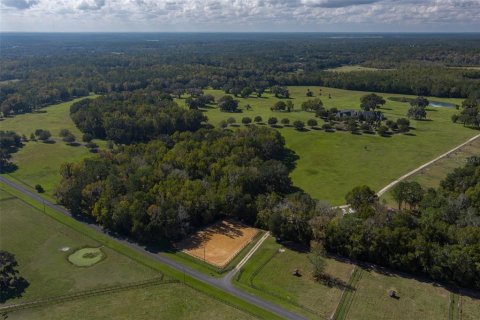 Villa ou maison à vendre à Micanopy, Floride: 4 chambres, 962.56 m2 № 2217626 - photo 25