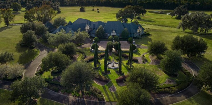Villa ou maison à Micanopy, Floride 4 chambres, 962.56 m2 № 2217626