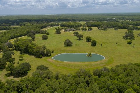 Villa ou maison à vendre à Micanopy, Floride: 4 chambres, 962.56 m2 № 2217626 - photo 23