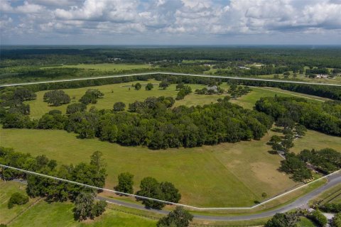 Villa ou maison à vendre à Micanopy, Floride: 4 chambres, 962.56 m2 № 2217626 - photo 26