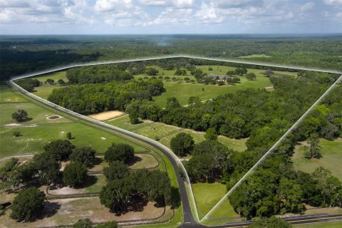 Villa ou maison à vendre à Micanopy, Floride: 4 chambres, 962.56 m2 № 2217626 - photo 2