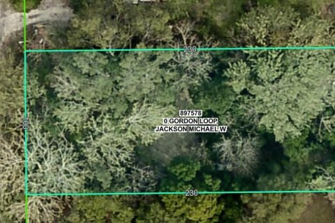 Terreno en venta en Brooksville, Florida № 1620679 - foto 4