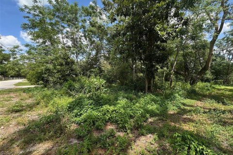 Terreno en venta en Brooksville, Florida № 1620679 - foto 1