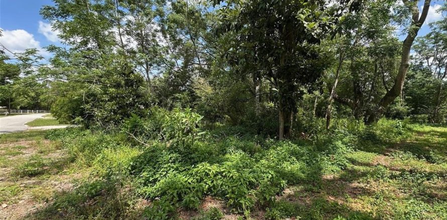 Terreno en Brooksville, Florida № 1620679