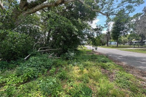 Terreno en venta en Brooksville, Florida № 1620679 - foto 2
