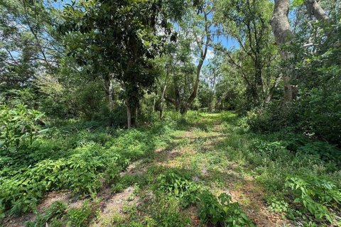 Terreno en venta en Brooksville, Florida № 1620679 - foto 3