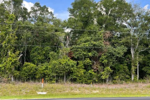 Terreno en venta en Chiefland, Florida № 1916778 - foto 1