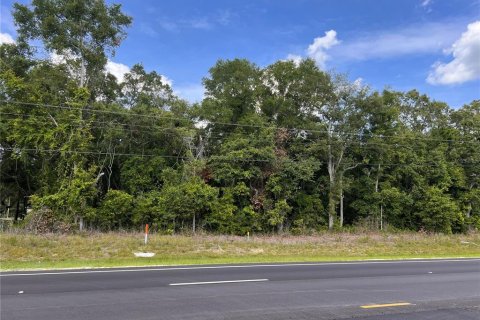 Terreno en venta en Chiefland, Florida № 1916778 - foto 3