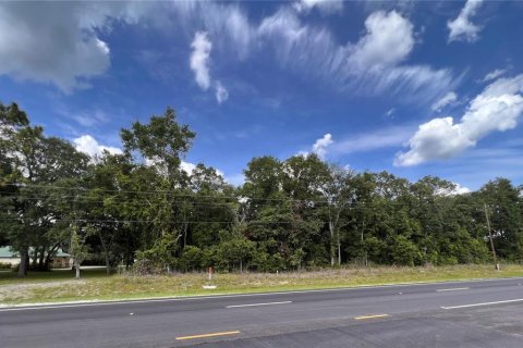 Terreno en venta en Chiefland, Florida № 1916778 - foto 2