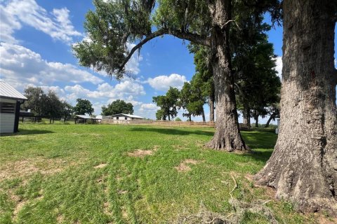 House in Anthony, Florida 1 bedroom, 41.62 sq.m. № 2229611 - photo 28
