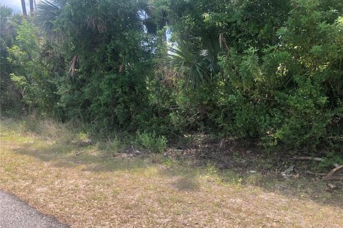 Land in North Port, Florida № 2165726 - photo 2