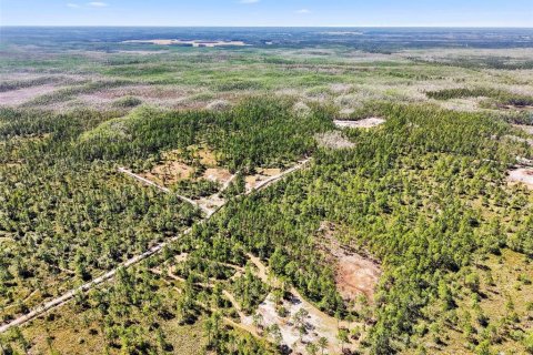 Land in DeLand, Florida № 2119880