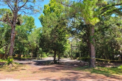 Land in Inglis, Florida № 2224734