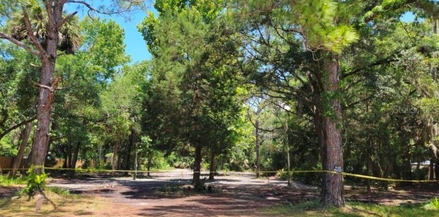 Land in Inglis, Florida № 2224734