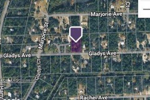 Land in Inglis, Florida № 2224734 - photo 3