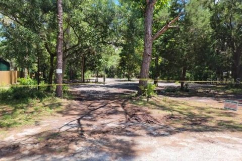 Land in Inglis, Florida № 2224734 - photo 2