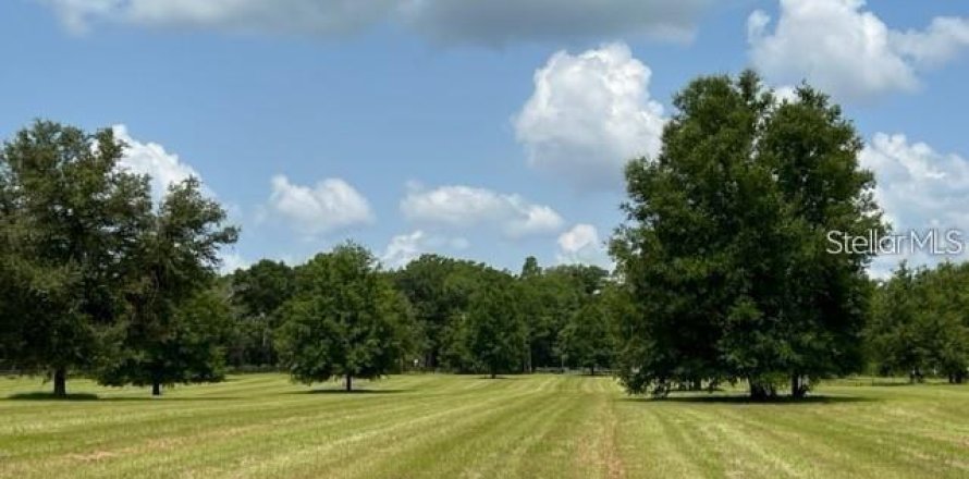 Terreno en Ocala, Florida № 1534466