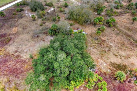 Terrain à vendre à Okeechobee, Floride № 2023181 - photo 29