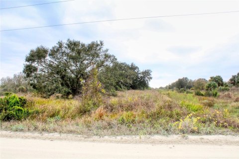 Terrain à vendre à Okeechobee, Floride № 2023181 - photo 5