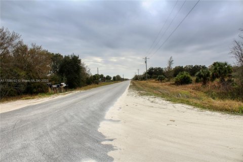 Terrain à vendre à Okeechobee, Floride № 2023181 - photo 18