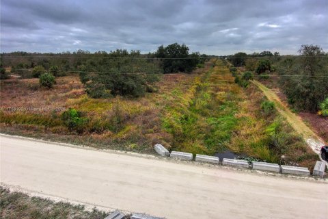 Terrain à vendre à Okeechobee, Floride № 2023181 - photo 20