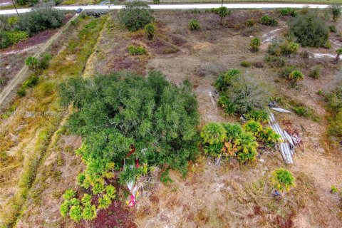 Terrain à vendre à Okeechobee, Floride № 2023181 - photo 27