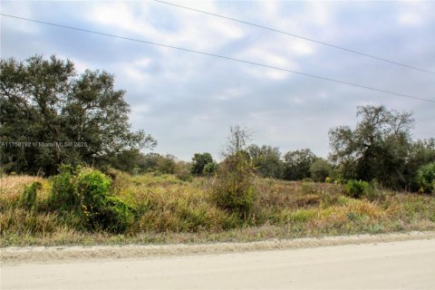 Terrain à vendre à Okeechobee, Floride № 2023181 - photo 6