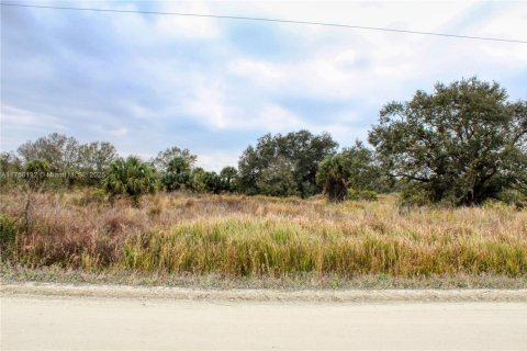 Terrain à vendre à Okeechobee, Floride № 2023181 - photo 11