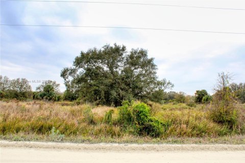 Terrain à vendre à Okeechobee, Floride № 2023181 - photo 7