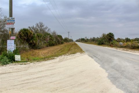 Terrain à vendre à Okeechobee, Floride № 2023181 - photo 17
